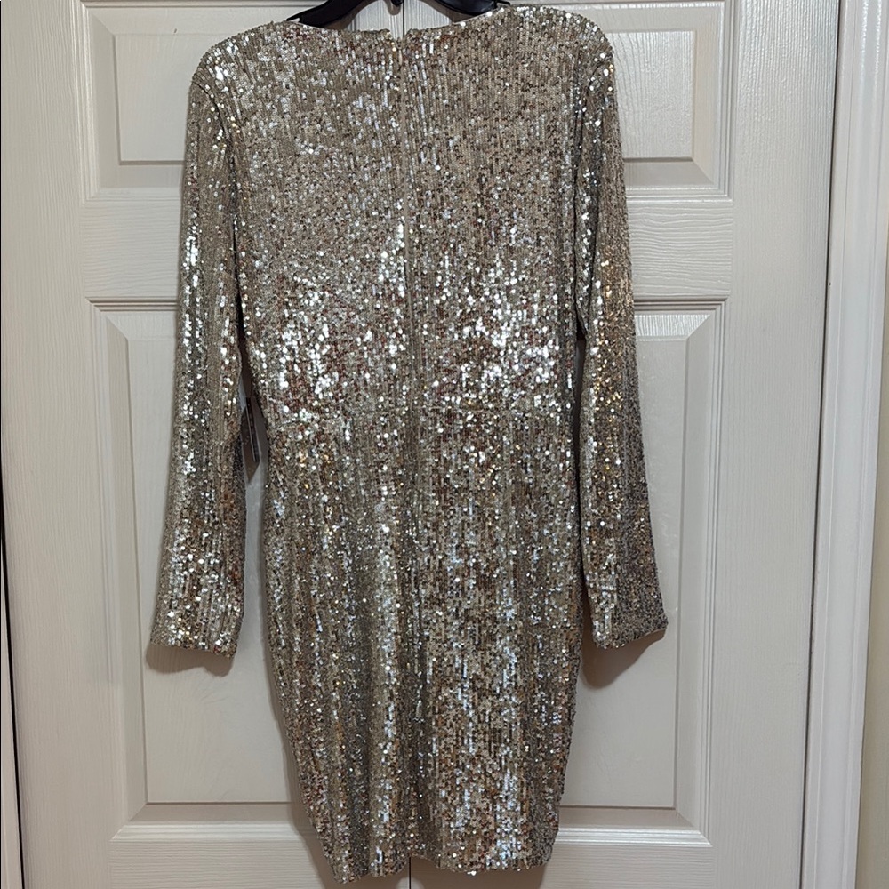 Express Nude & Silver Sequin Dress NWT SIZE M - Picture 5 of 5